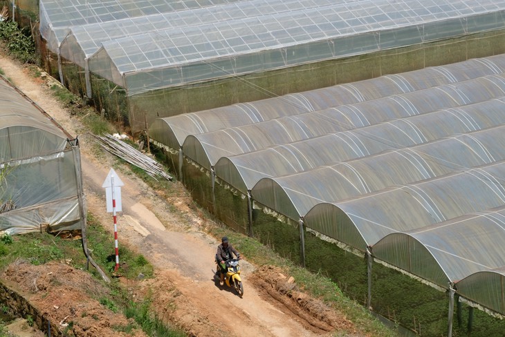 Ngăn rủi ro từ phong trào nông nghiệp nhà kính - Ảnh 1. Ngăn rủi ro từ phong trào nông nghiệp nhà kính - Ảnh 1.