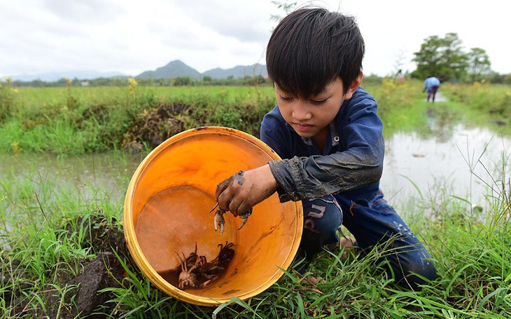 Chợ cua đồng nửa đêm về sáng trong lòng thành phố