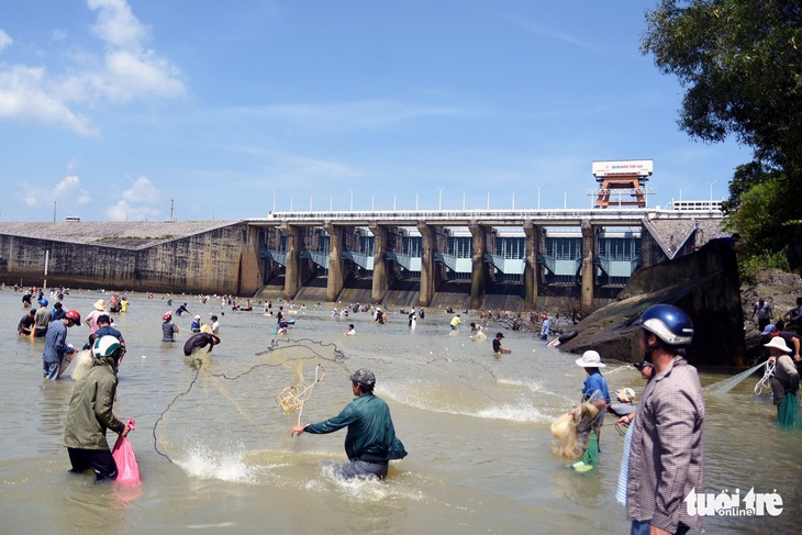 Thủy điện Trị An ngưng xả tràn, ngàn người tranh nhau bắt cá dưới chân đập - Ảnh 1.