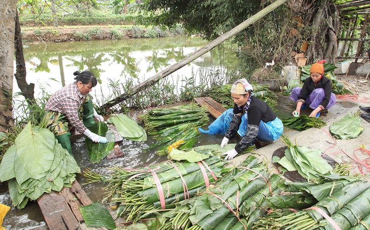 Bánh chưng Tranh Khúc vào vụ tết - Ảnh 1.