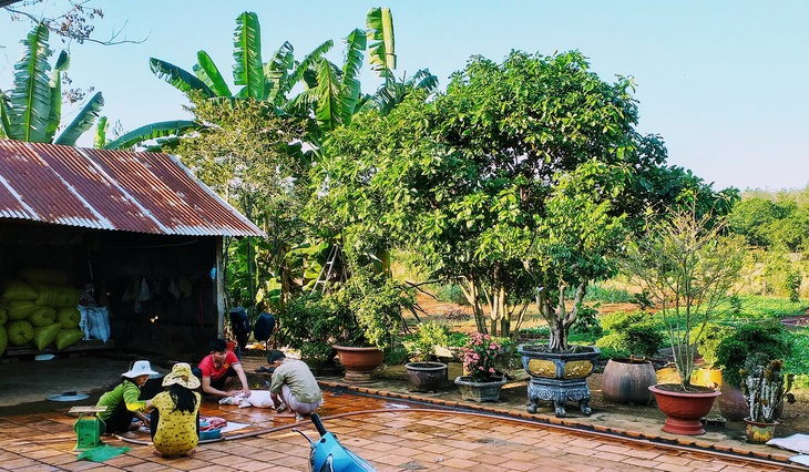 10 năm ở trọ Sài Gòn, lịch tết của tôi không thay đổi: về với vườn rau của mẹ - Ảnh 1.