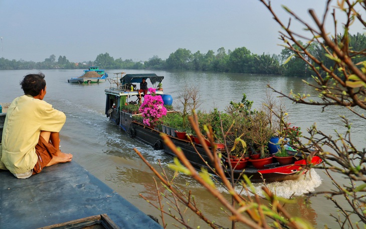 Vượt dòng Cửu Long, ghe hoa về phố