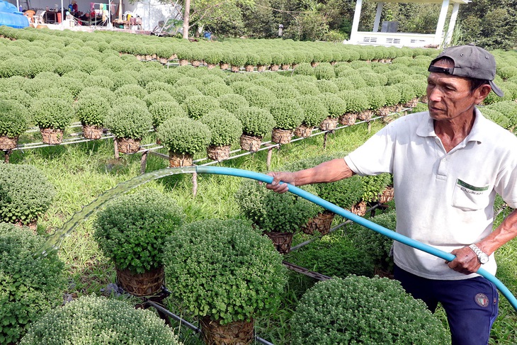 “Mùa khô, hạn mặn năm nay rất khốc liệt!” - Ảnh 1.