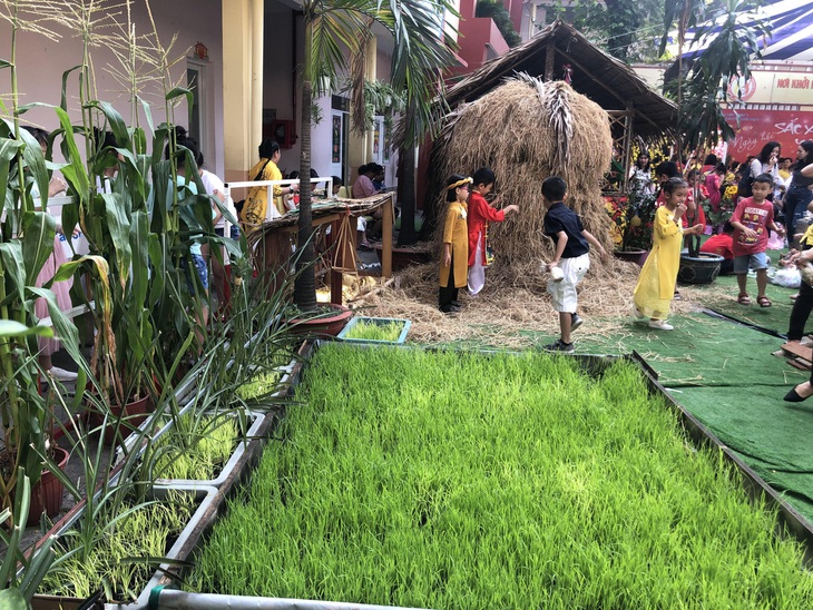Cánh đồng quê giữa trường tiểu học trung tâm TP.HCM - Ảnh 1.