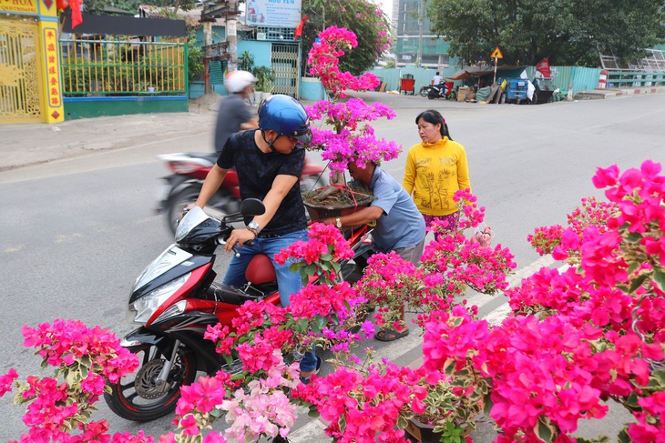 Mai, quất miền Tây vừa cập bến Bình Đông đã có người mua - Ảnh 5.