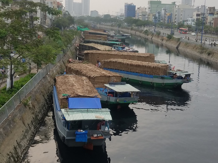 Mai, quất miền Tây vừa cập bến Bình Đông đã có người mua - Ảnh 14.