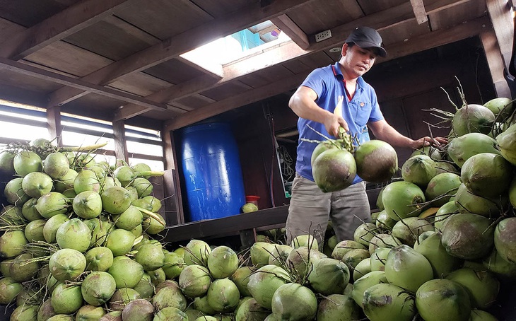 Chợ quê Sài Gòn - Kỳ 3: Thương lắm con khô sặc rằn - Ảnh 1.