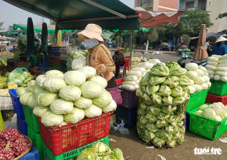 Trái cây tăng sản lượng giáp tết, nhiều loại rau củ Đà Lạt giảm giá mạnh - Ảnh 7.