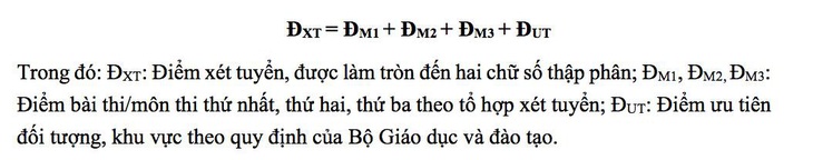 ĐH Sư phạm TP.HCM tuyển thí sinh có quốc tịch nước ngoài - Ảnh 2.