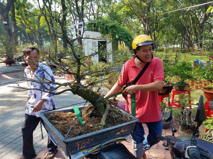 Sợ ngậm hàng, nhiều nhà vườn bắt đầu giảm giá hoa - Ảnh 7.