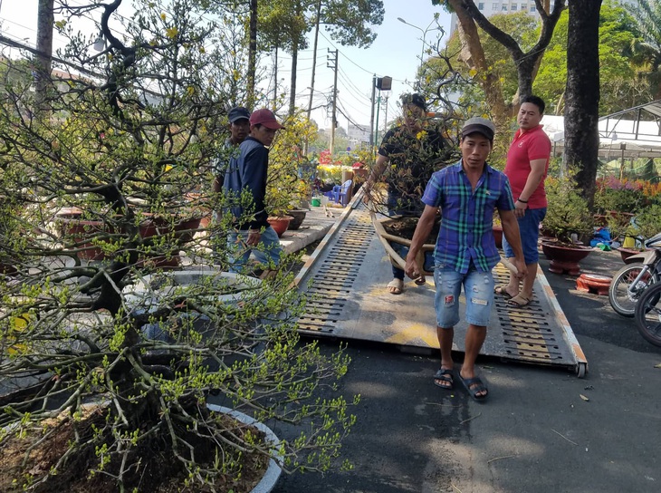 Sợ ngậm hàng, nhiều nhà vườn bắt đầu giảm giá hoa - Ảnh 14.