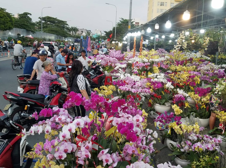 Cận tết, dân Sài Gòn rủ nhau đi săn lan hồ điệp đến khuya - Ảnh 1.