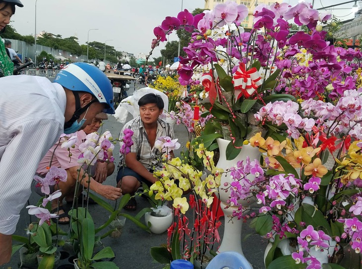 Cận tết, dân Sài Gòn rủ nhau đi săn lan hồ điệp đến khuya - Ảnh 2.