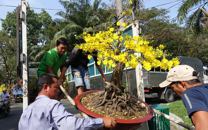 Chợ hoa chiều 30 tết: Mong bán được chậu nào hay chậu nấy