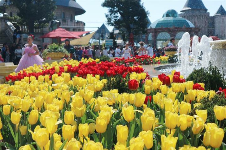 Bắt trọn mùa hoa tulip đẹp “rụng tim” ở Bà Nà Hills - Ảnh 4.