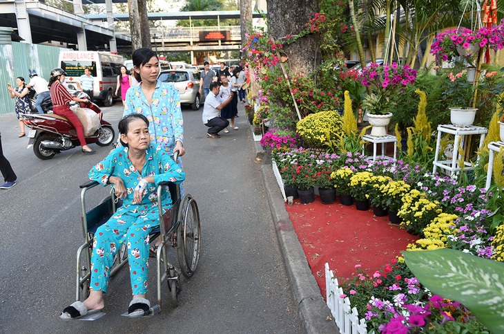 Đường hoa xuân yêu thương dành cho người bệnh - Ảnh 1.