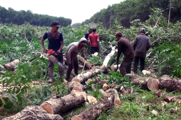 Ngày 20-10 bàn giao hơn 1.800ha mặt bằng xây sân bay Long Thành - Ảnh 1.