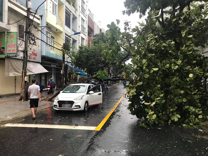 Đà Nẵng còn 8 tàu cá với 79 ngư dân trên biển, vẫn đang tìm kiếm 1 tàu mất tích - Ảnh 1.