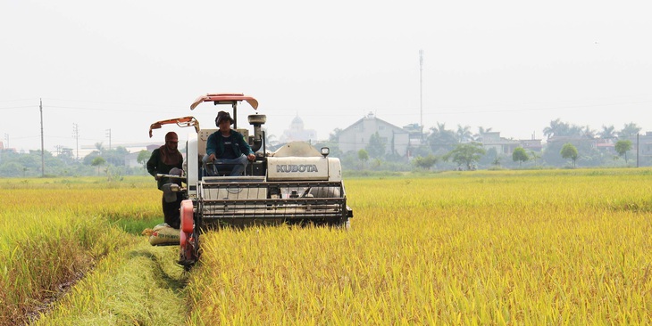 Thái Bình cấm tàu thuyền ra khơi để phòng chống bão số 7 - Ảnh 2.