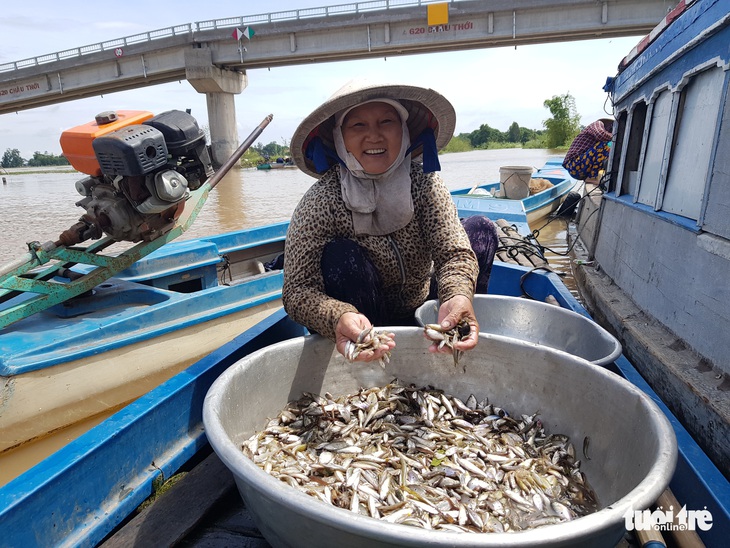 Lũ đầu nguồn ĐBSCL lên trở lại, mang theo nhiều cá tôm - Ảnh 2.