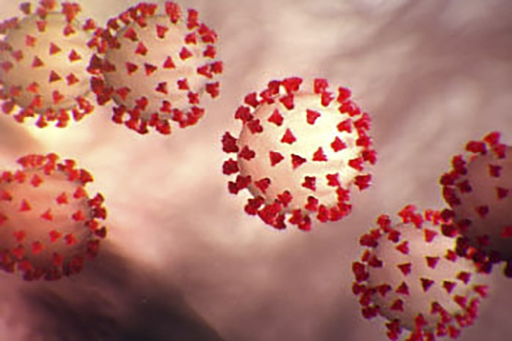 Độ ẩm có thể ảnh hưởng đến sự phân tán của các phần tử virus trong không khí - Ảnh 1. Độ ẩm có thể ảnh hưởng đến sự phân tán của các phần tử virus trong không khí - Ảnh 1.