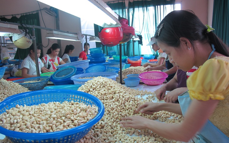 Nhập siêu lớn: vì sao? - Ảnh 4.
