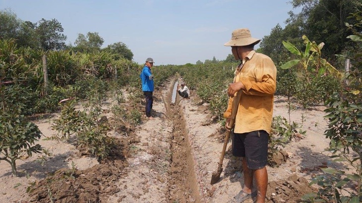 Khởi sắc dạy nghề lao động nông thôn - Ảnh 1.