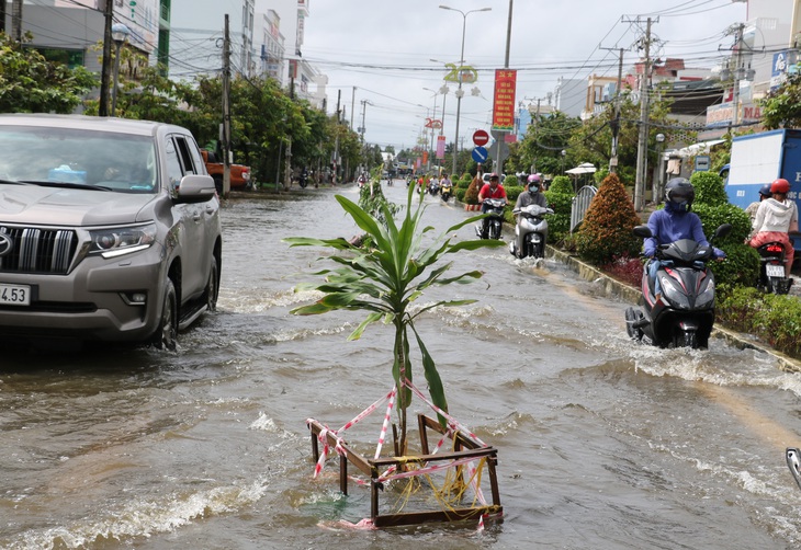 Cà Mau: hai huyện tiếp tục cho học sinh nghỉ học vì đường ngập - Ảnh 1.