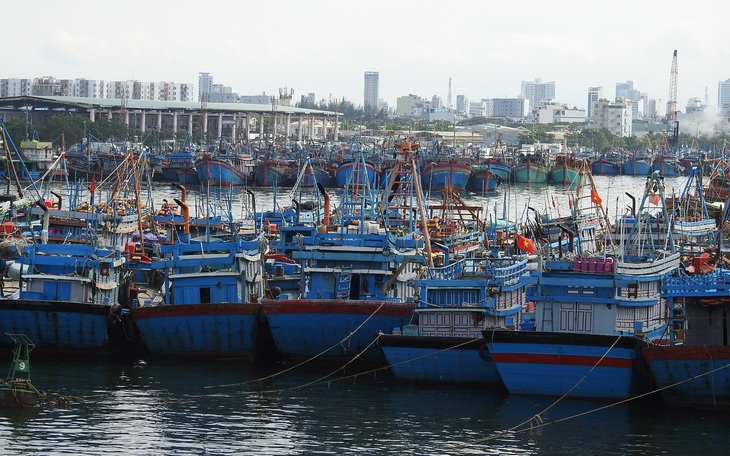 2 tàu chìm, 46 tàu Bình Định đang vào bờ, cấp bão không giảm