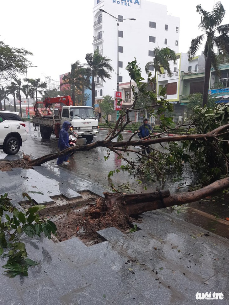 Bão đã vào đất liền và suy yếu thành áp thấp, nhiều nơi mất điện, cây đổ - Ảnh 1.