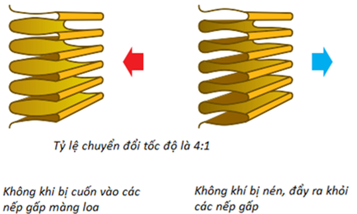 ADAM Audio - nhân tố dẫn đầu xu hướng phòng thu tại gia - Ảnh 3.