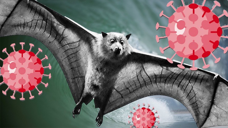 Nguy cơ đại dịch từ 850.000 virus lạ trên động vật - Ảnh 1. Nguy cơ đại dịch từ 850.000 virus lạ trên động vật - Ảnh 1.