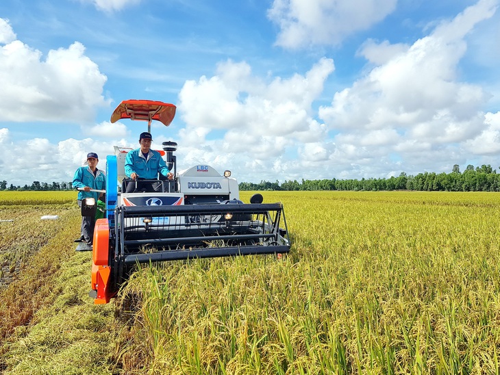 Cởi trói đất đai để làm ăn lớn - Ảnh 1.