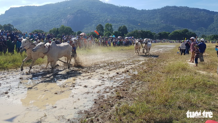 Hàng ngàn người xem biểu diễn dù lượn ở miền Tây - Ảnh 7.