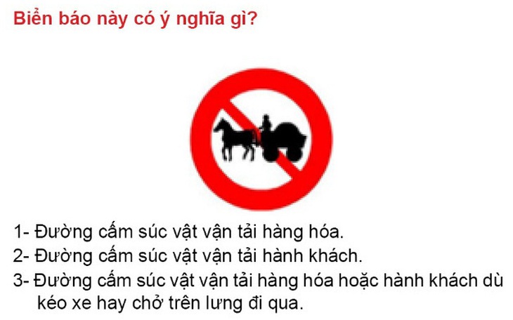 Sát hạch lý thuyết lái ôtô: gần 16% số câu hỏi không cần thiết?