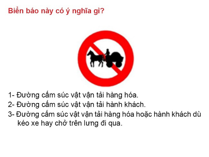 Sát hạch lý thuyết lái ôtô: gần 16% số câu hỏi không cần thiết? - Ảnh 2.