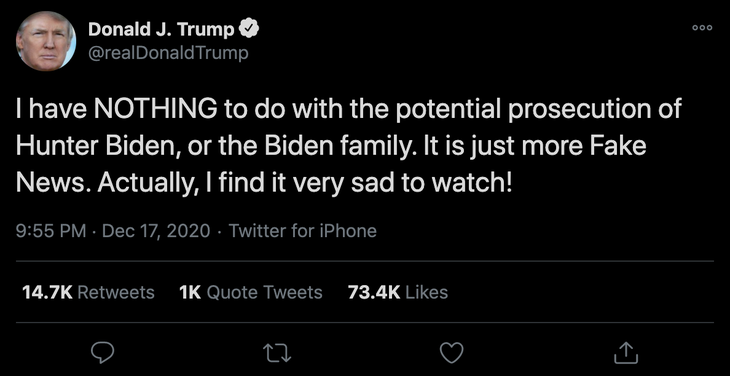 Tổng thống Trump: Tôi không liên quan đến việc truy tố Hunter Biden - Ảnh 2.