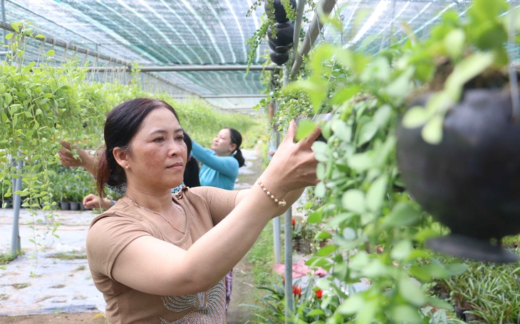 Bão 14 thành áp thấp, miền Tây vẫn sẵn sàng ứng phó - Ảnh 1.