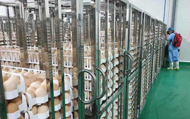 Doanh nghiệp ở Đồng Nai xuất khẩu lô thịt gà chế biến đầu tiên sang Singapore - Ảnh 3.