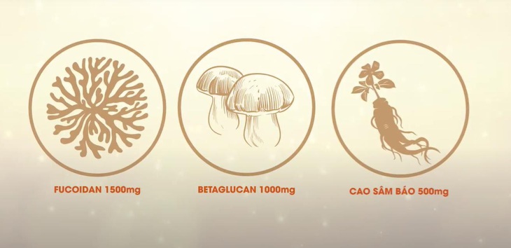 Thực phẩm bảo vệ sức khỏe Ancan Fucoidan 1500mg có gì tốt? - Ảnh 3. Thực phẩm bảo vệ sức khỏe Ancan Fucoidan 1500mg có gì tốt? - Ảnh 3.