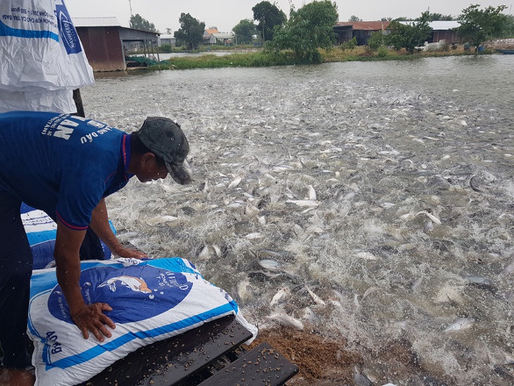 Thủ tướng chỉ đạo hỗ trợ, giải quyết việc thủy sản xuất qua Trung Quốc bị ùn ứ - Ảnh 1.