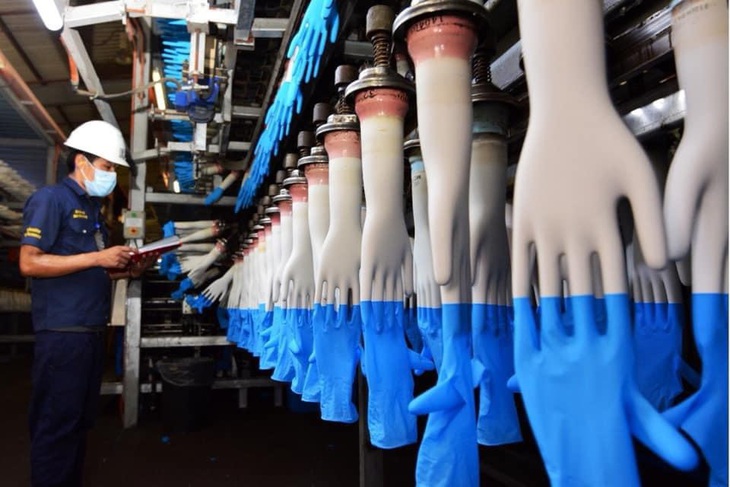 Găng tay Vina Glove vì sức khỏe cộng đồng - Ảnh 2. Găng tay Vina Glove vì sức khỏe cộng đồng - Ảnh 2.