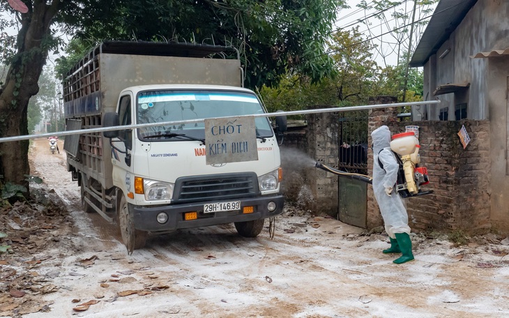 ‘Cô lập’ đàn gia cầm hơn nửa triệu con để chống cúm A/H5N6