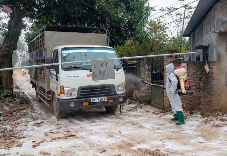 ‘Cô lập’ đàn gia cầm hơn nửa triệu con để chống cúm A/H5N6 - Ảnh 1.