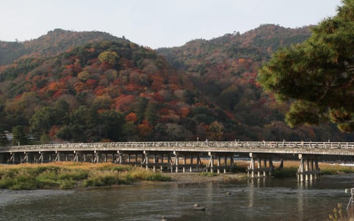 Vượt COVID-19, Kyoto kích cầu bằng chiến dịch 