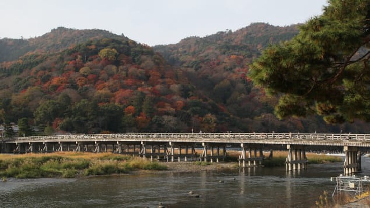 Vượt COVID-19, Kyoto kích cầu bằng chiến dịch du lịch vắng - Ảnh 3.