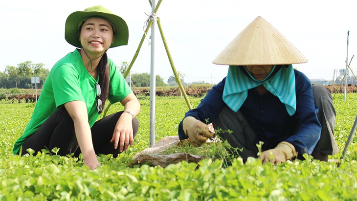 Mấy ai nghĩ cây rau bình dị ra thế giới! - Ảnh 1.