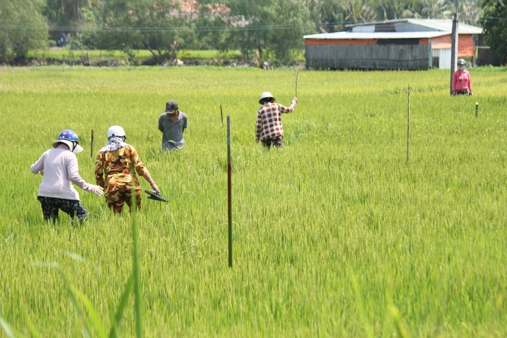 Sạt lở cả đoạn đường xuống sông, giao thông chia cắt - Ảnh 6.