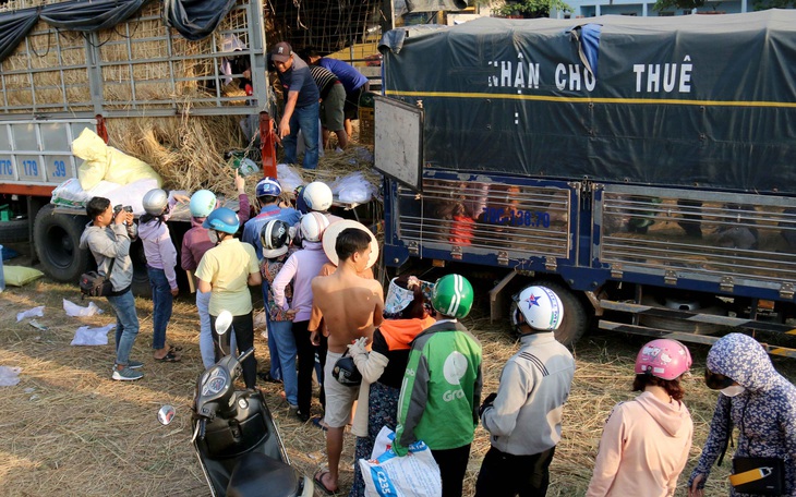 Ngân hàng giảm lãi suất, đồng loạt giải cứu dưa hấu, thanh long - Ảnh 1.