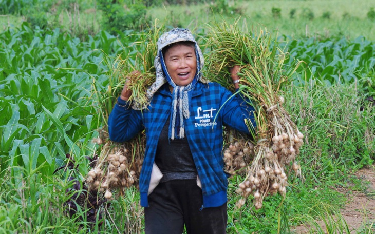 Tin giả: Lây trên mạng từ tỏi Lý Sơn, máy bay rơi đến hỗn loạn corona